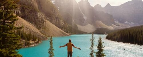 pexels-andre-furtado-2916817-T pexels-andre-furtado-2916817-T